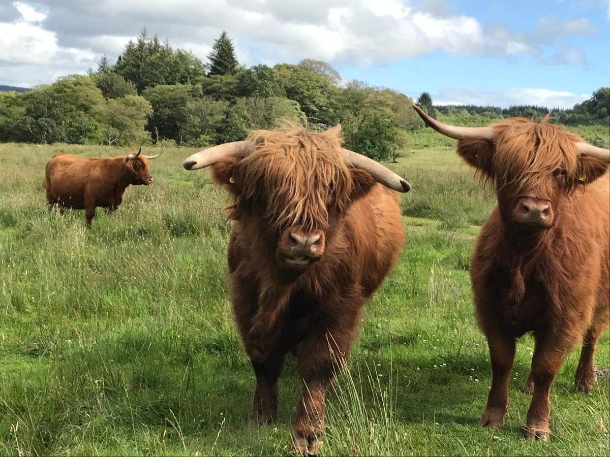 Hotel The West Highland Way Pitches Glasgow Exteriér fotografie
